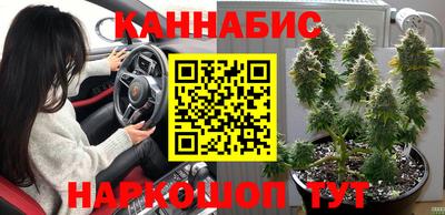 соль ск Ипатово