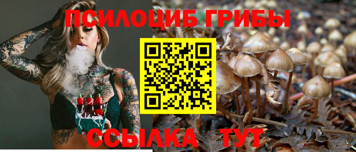 Псилоцибиновые грибы Magic Shrooms  Вход с VPN  Лосино-Петровский 