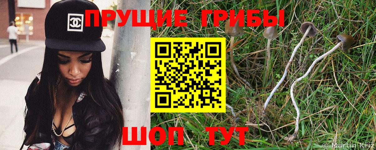 Псилоцибиновые грибы ЛСД Лосино-Петровский